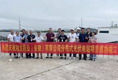 利潔時集團(tuán)桂龍藥業(yè)（安徽）分布式光伏電站項目竣工